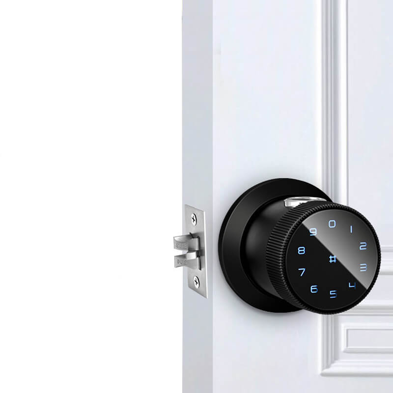 Smart Door Knob Lock