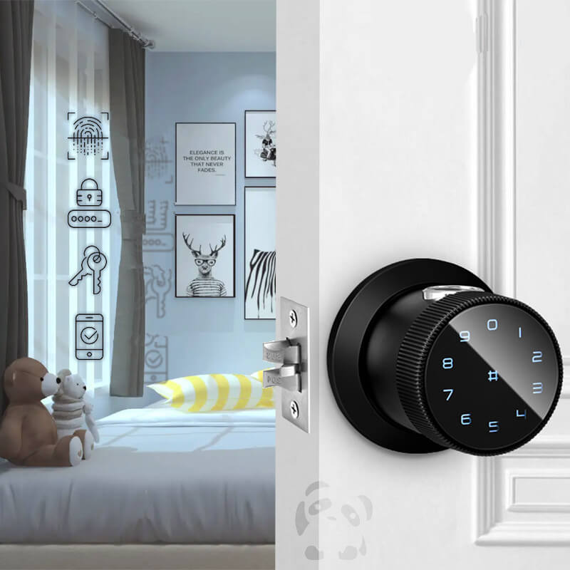 Smart Door Knob Lock