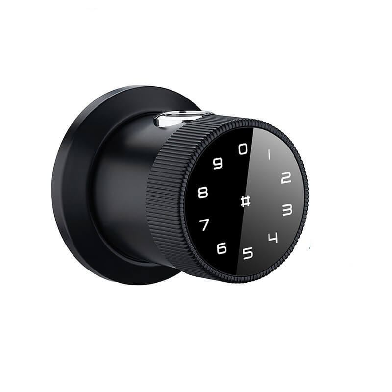 Smart Door Knob Lock